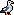 Seagull